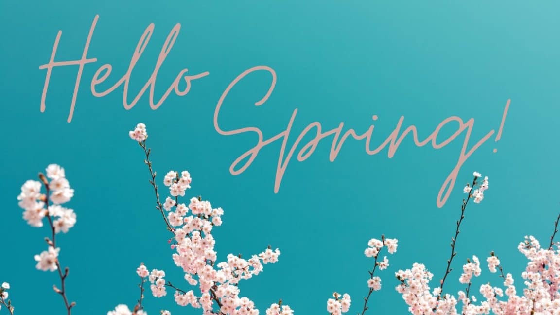 Branches with cherry blossom flowers at the bottom of a teal backdrop with text Hello Spring!