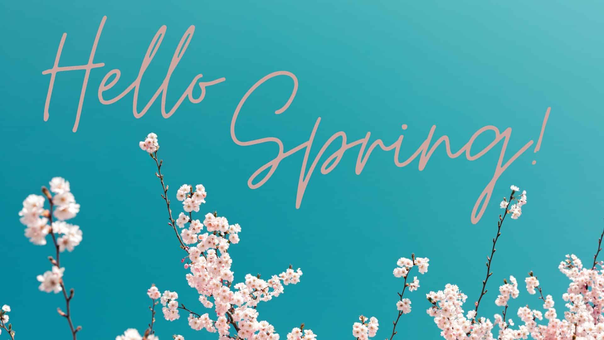 Branches with cherry blossom flowers at the bottom of a teal backdrop with text Hello Spring!