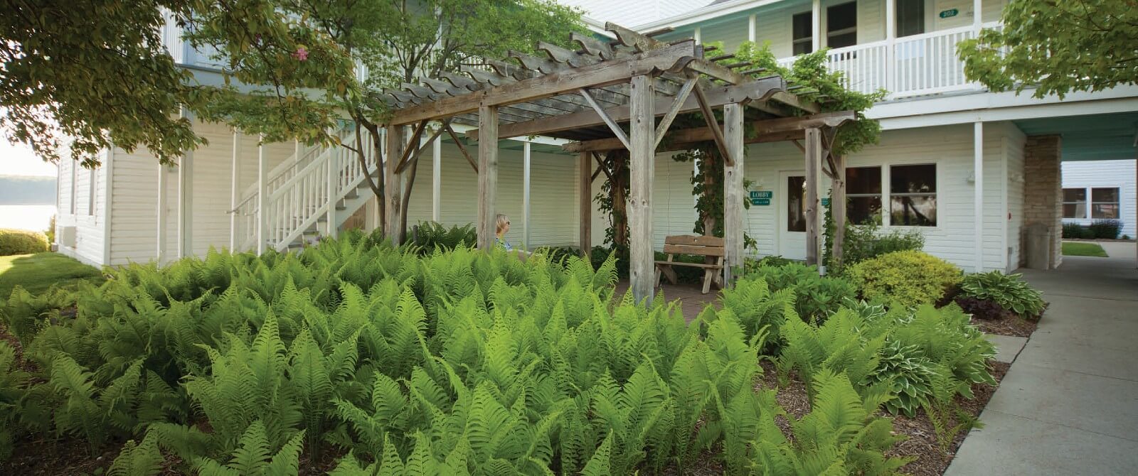 Exterior of a two story hotel building with walkway next to a pergola nestled among a field of green ferns