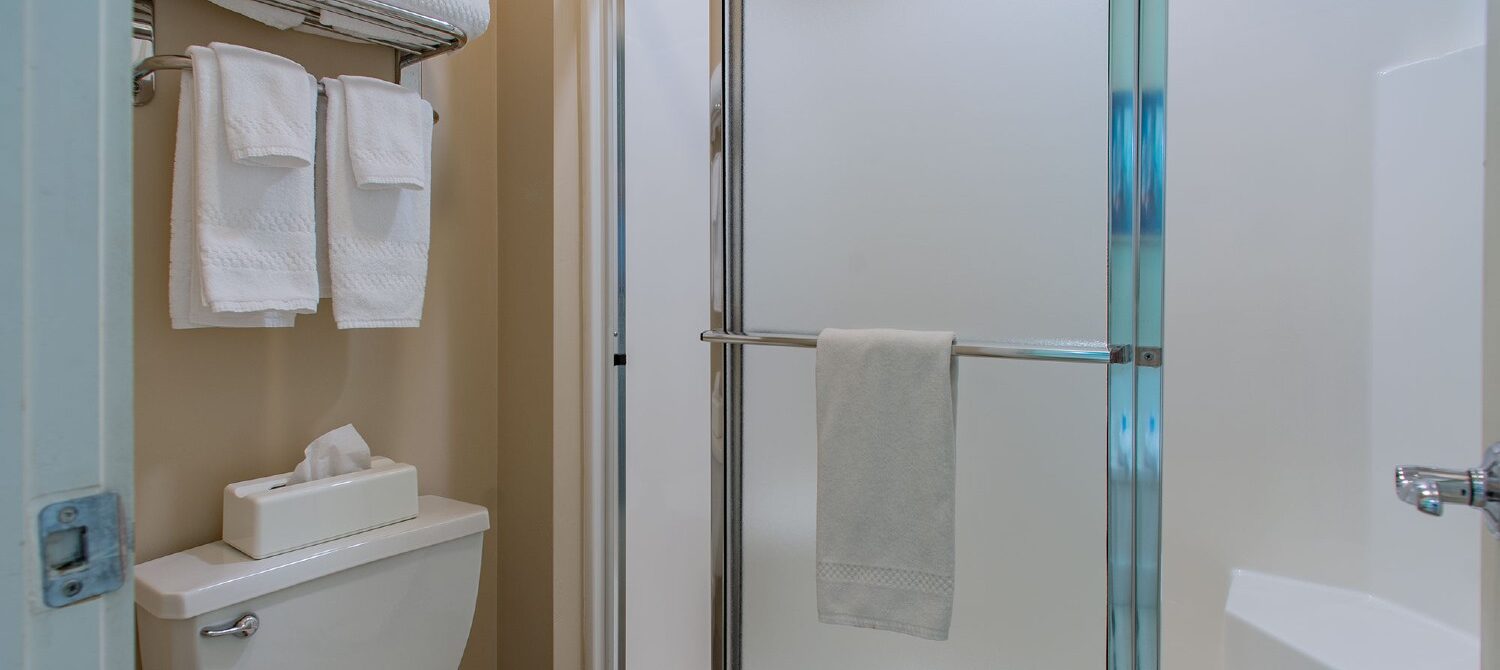 Bathroom with stand up shower and glass doors, white towels hanging above the toilet