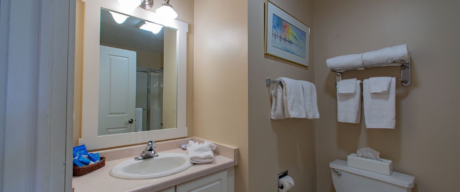 Bathroom with single sink, large white framed mirror, plush white towels hung near toilet