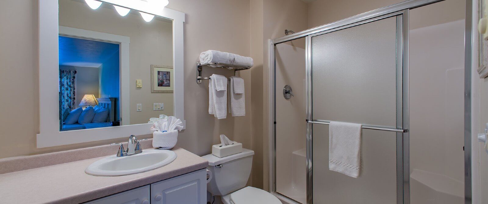 Bathroom with stand up shower with glass doors, sink vanity with large framed mirror and toilet