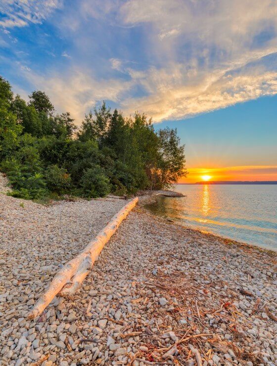 A rocky shore with a washed up log and group of trees and sunset in the distance